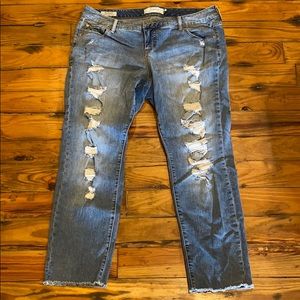 Torrid boyfriend frayed jeans